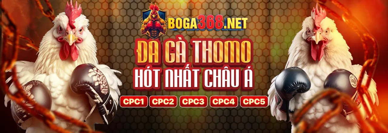 Nhân viên hỗ trợ khách hàng chuyên nghiệp tại benca29 link mới