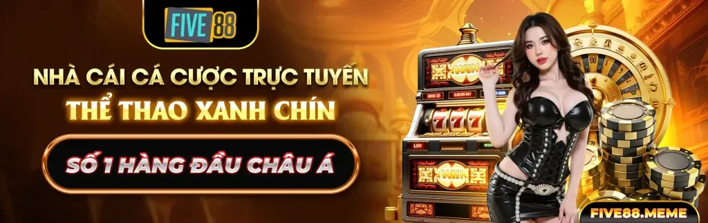 Hình ảnh tổng quan về nền tảng cá cược Benca29